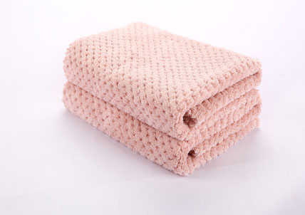 Coral Fleece Cloth